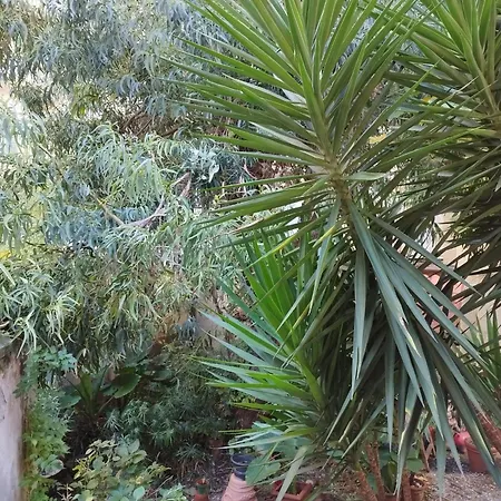 Apartmán Il Vicolo Cinque Terre La Spezia