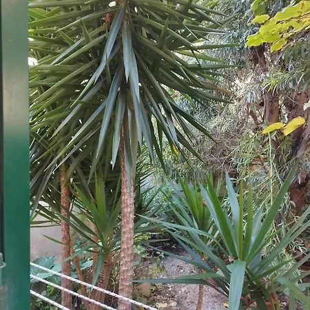 Il Vicolo Cinque Terre Appartement La Spezia