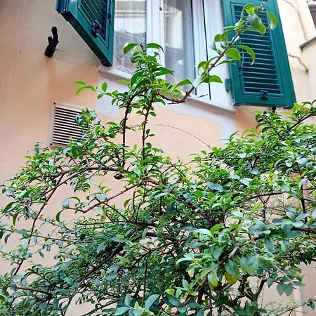 Il Vicolo Cinque Terre