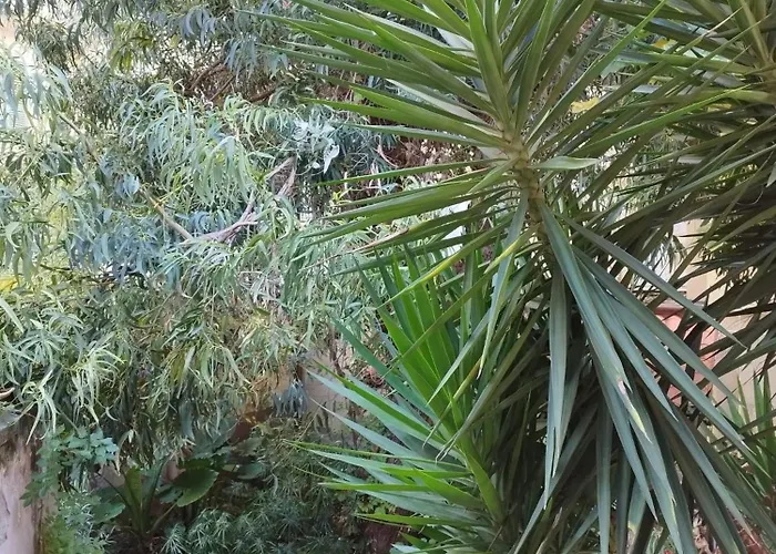 Lägenhet Casa Il Vicolo Cinque Terre La Spezia