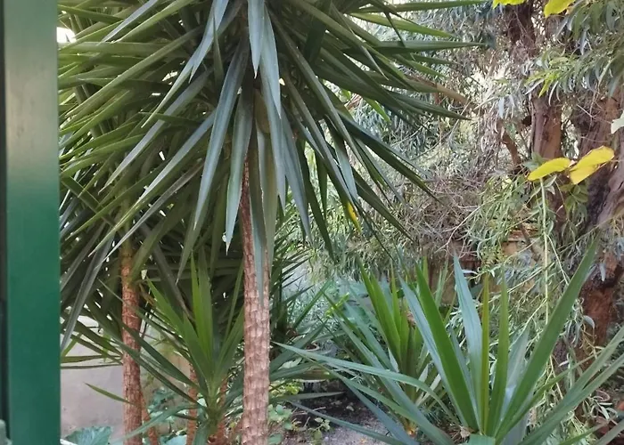 Casa Il Vicolo Cinque Terre Lägenhet La Spezia